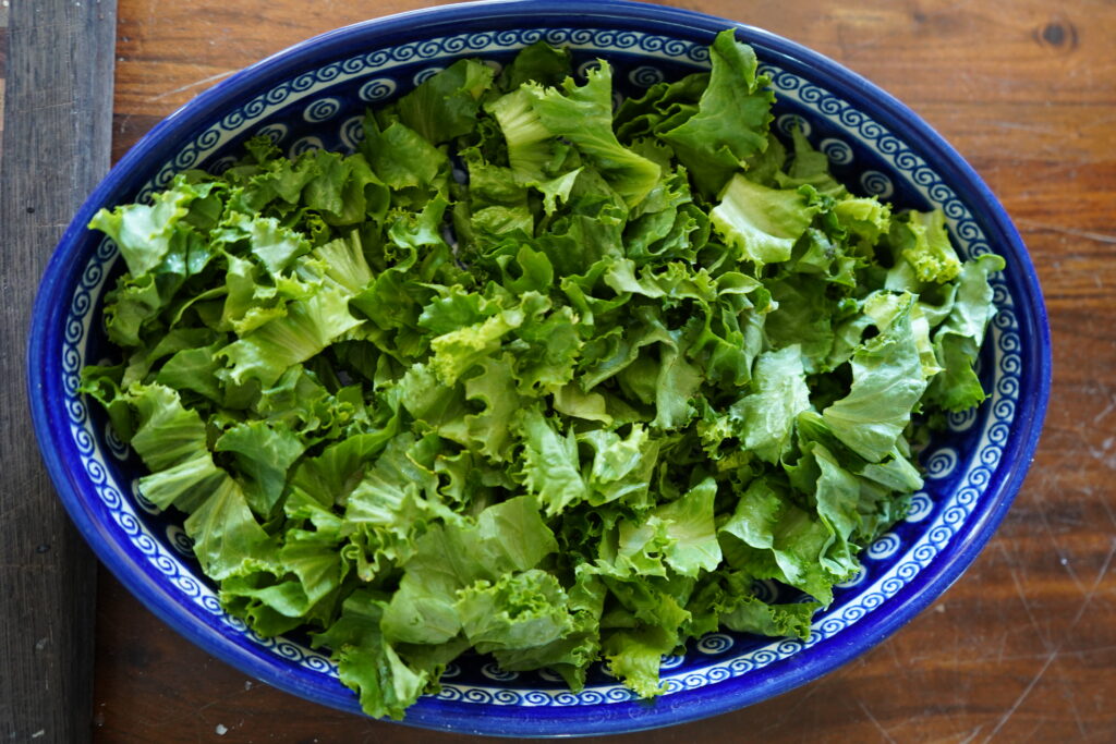 Lettuce chopped up in a blue salad bowl.