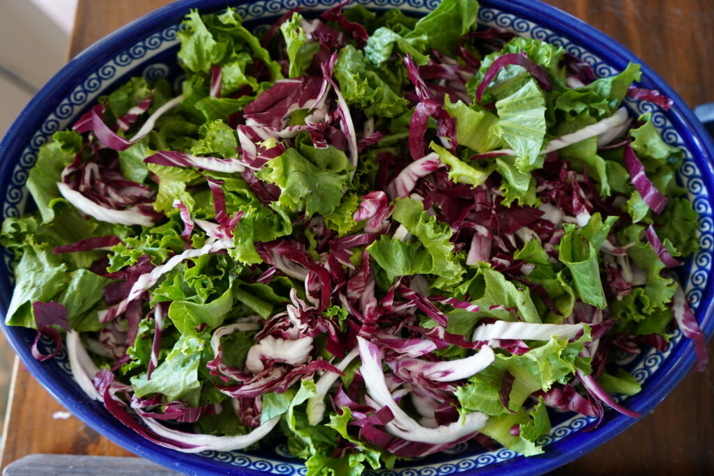 A salad bowl full of greens and Radicchio.