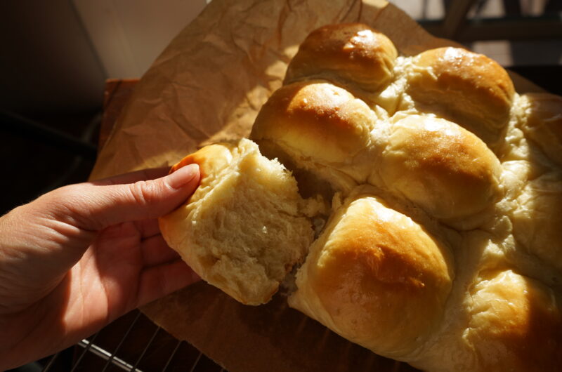 Honey, Milk Dinner Rolls