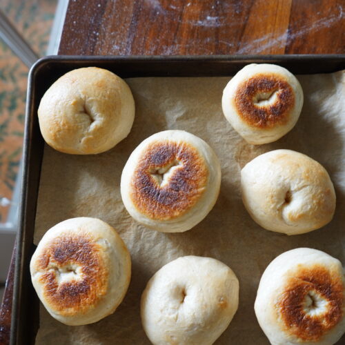 sourdough bagels on a tray