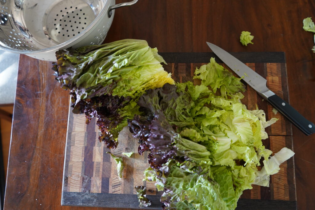 red leaf romaine lettuce being chopped on a cutting board