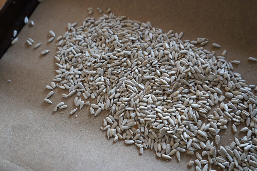 run sunflower seeds on parchment paper