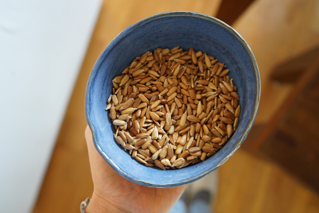 toasted sunflower seeds in a bowl