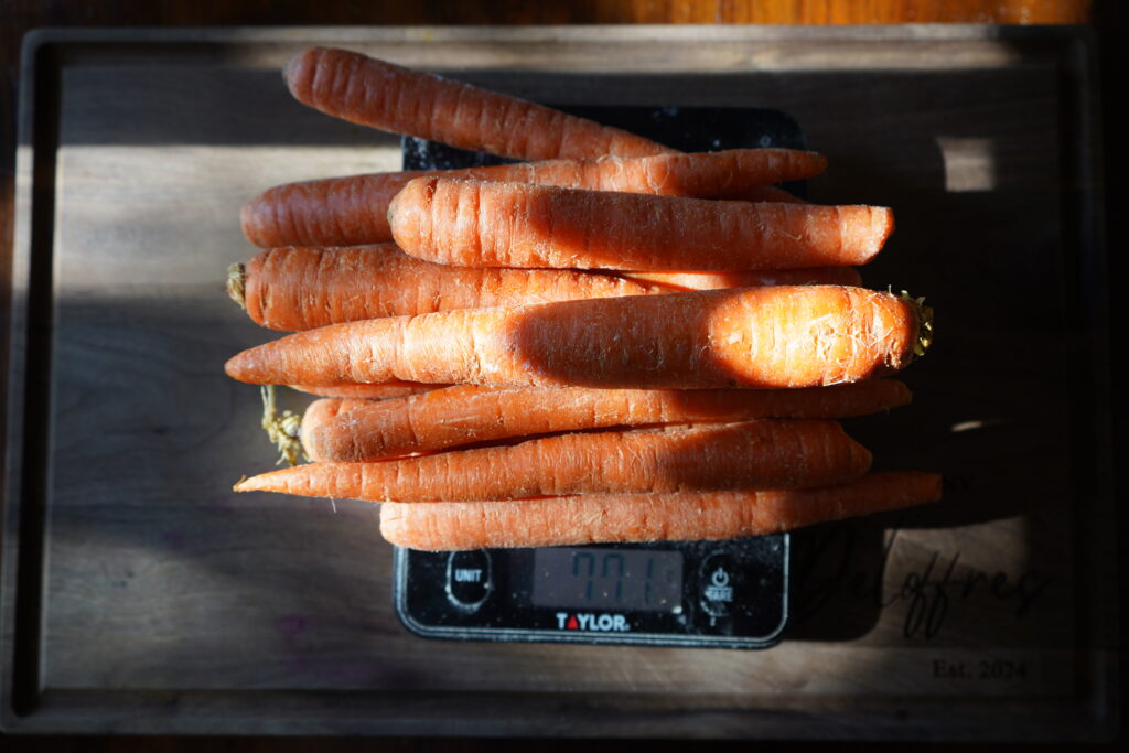 a bunch of carrots on a scale