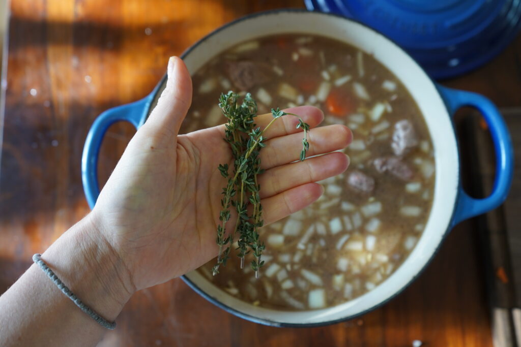 thyme being added to a pot of stew