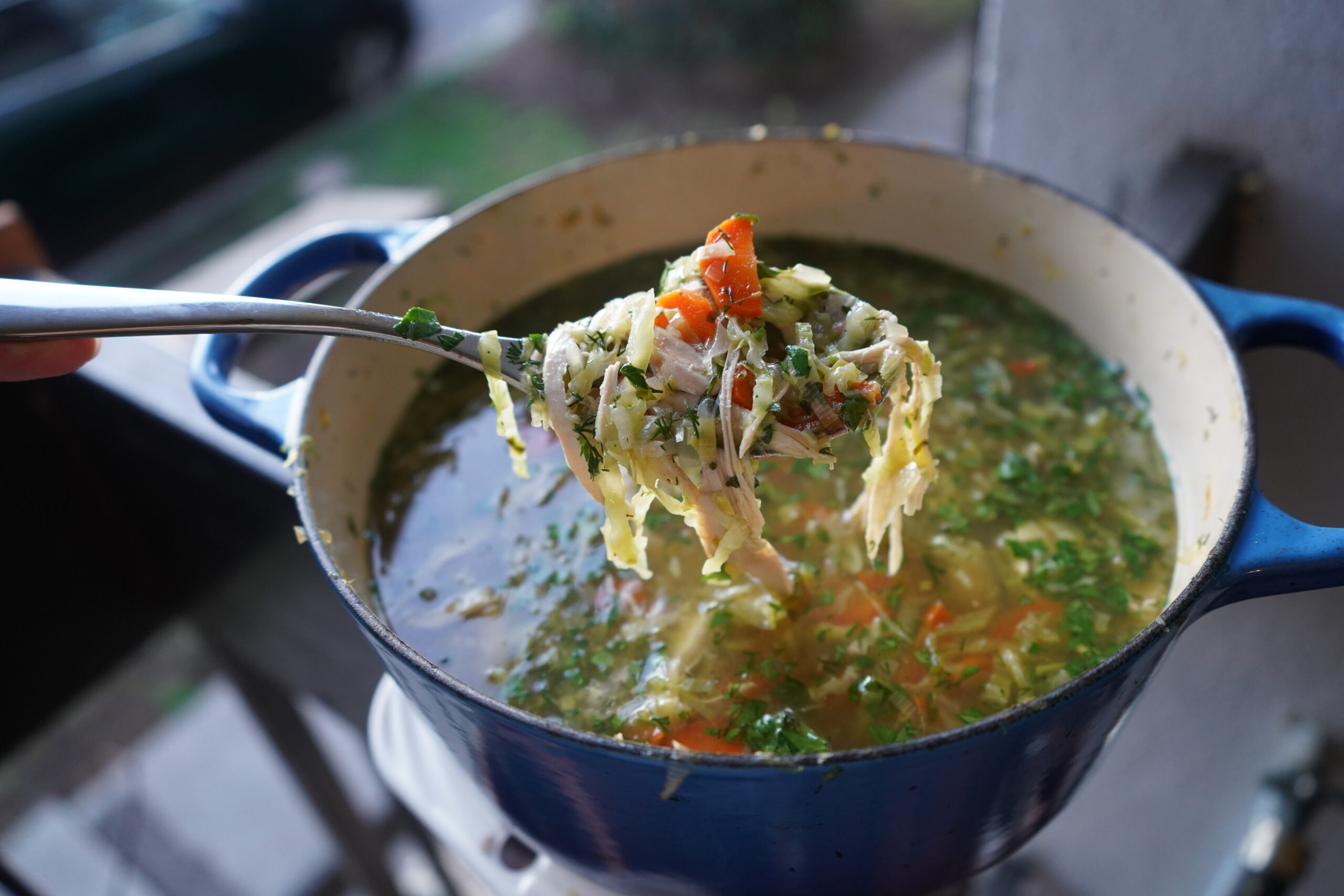 chicken and cabbage soup