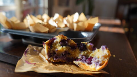 blueberry muffins
