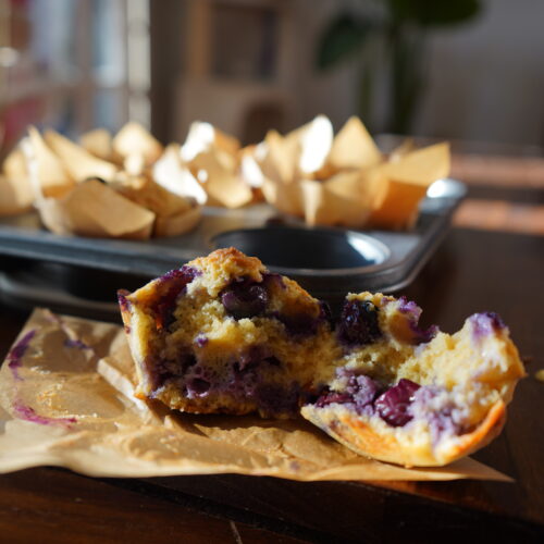 blueberry muffins
