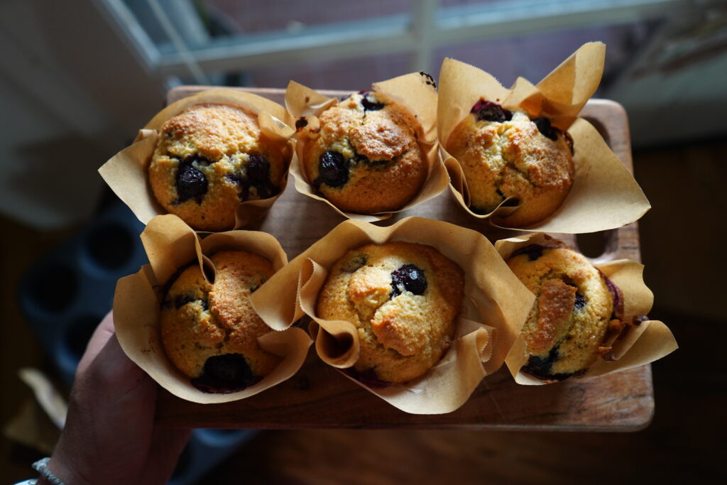 blueberry muffins