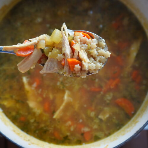 chicken noodle soup
