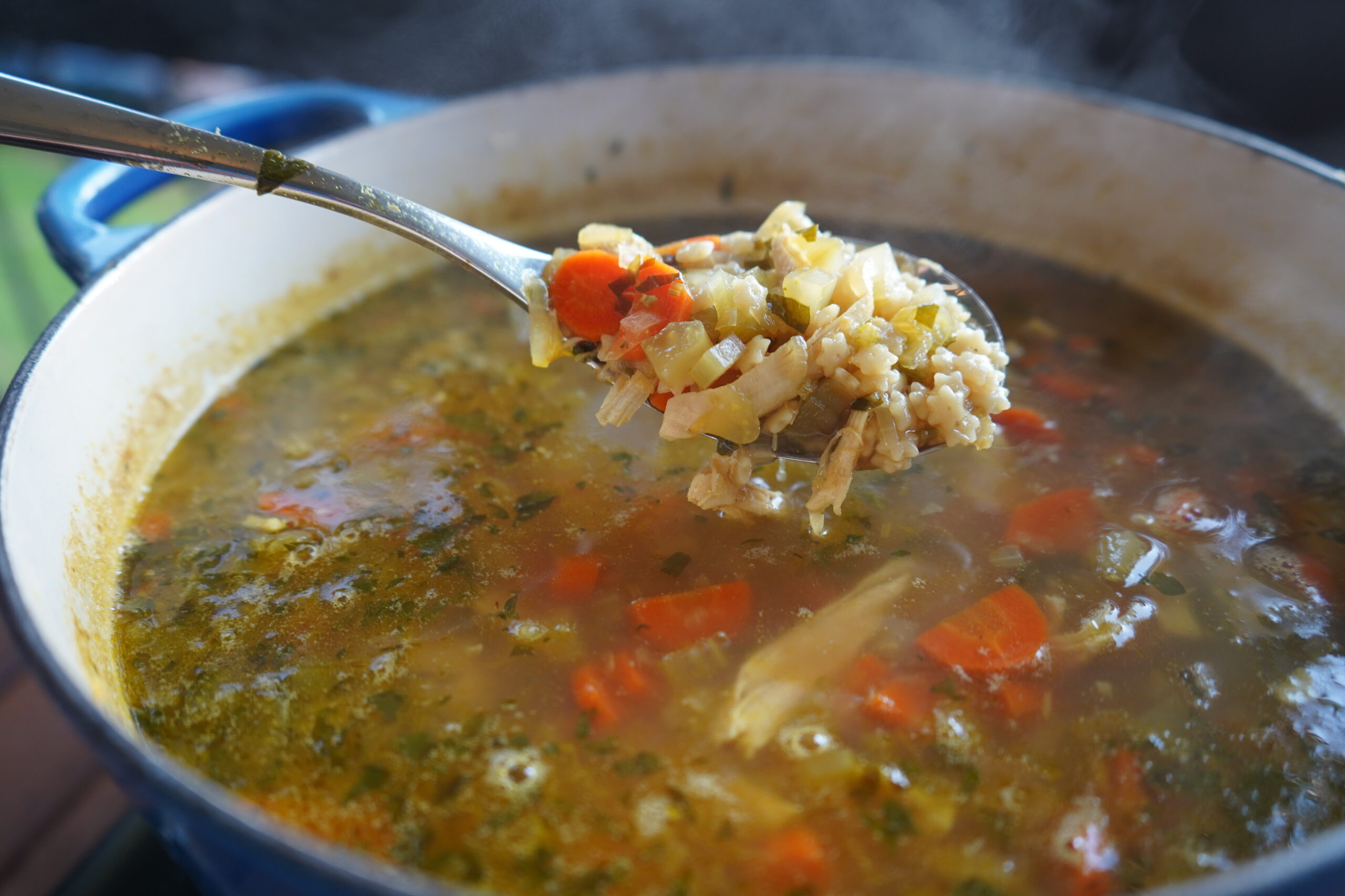 anti-inflammatory chicken noodle soup